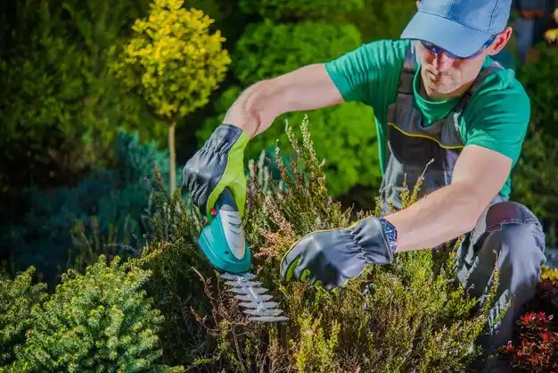 landscaping services Washington Heights
